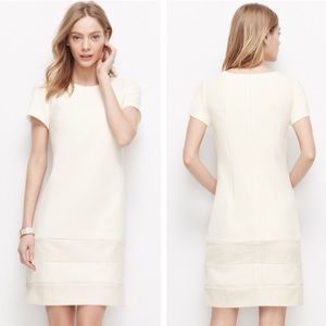Ann Taylor white dress 2P work career